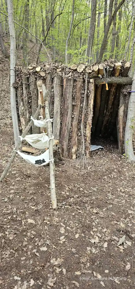 cum să ne protejăm de animalele sălbatice în padure